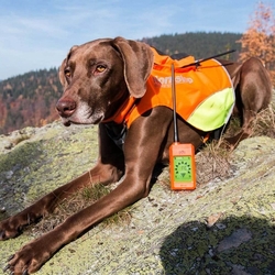 Dog Trace -Kratší obojek pro dalšího psa - DOG GPS X20 Short - kopie - kopie