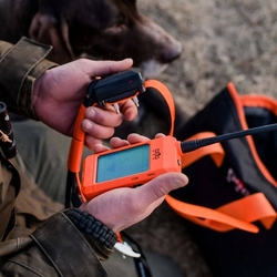 Dog Trace DOG GPS X30 Short- Kratší obojek pro dalšího psa - kopie - kopie - kopie - kopie - kopie - kopie
