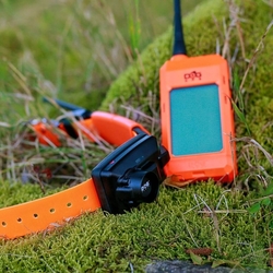 Dog Trace DOG GPS X30 Short- Kratší obojek pro dalšího psa - kopie - kopie - kopie - kopie - kopie