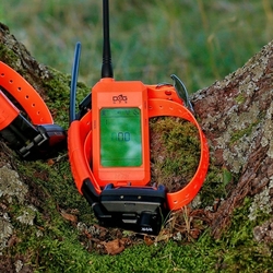 Dog Trace DOG GPS X30TB Short-Vyhledávací a výcvikové zařízení se zvukovým lokátorem