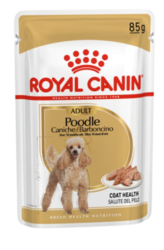 Royal Canin Poodle kapsička 12 x 85 g