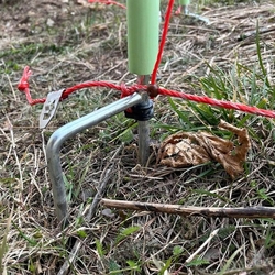 Elektrická síť proti vlkům fencee detail na dvojitou špici a spodní připojovací vodič