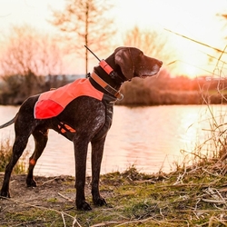 Obojek pro dalšího psa DOG GPS X25T- oranžová