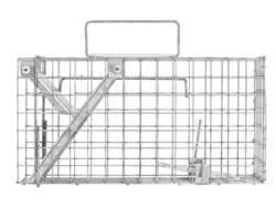 Past na potkany, krysy a lasičky TRAP ZL50x17x20