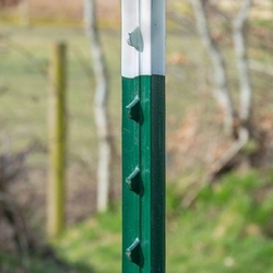 Sada T-sloupky pro elektrický ohradník 167 cm + krytky s izolátorem - 50 ks