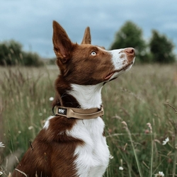 K9 taktický obojek pro psy s rukojetí, khaki, vel. S - XL