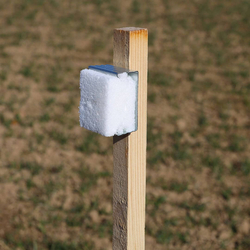 Dřevěný kůl pro pachový ohradník 100 × 2,5 × 2,5 cm