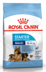 Royal canin Kom. Maxi Starter 4kg - kopie