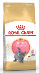 Royal canin British Shorthair Kitten  400g