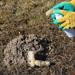 Pachový ohradník + nosič pachové látky 10 ks - odpuzovač krtků