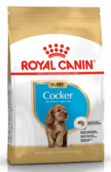 Royal canin Breed Kokr Puppy 3kg