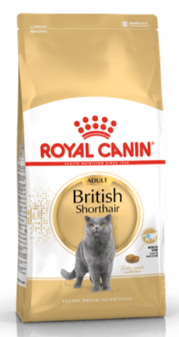 Royal canin British Shorthair  10kg